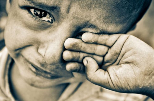 眼睛里鉆了飛蟲、塵埃怎樣處理會(huì)舒服？